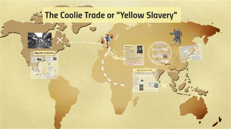 what is the coolie trade